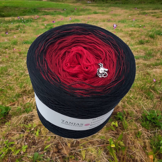 coccinelle